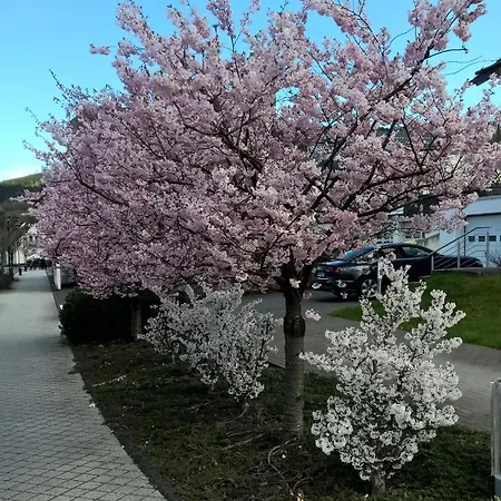 Apartamento Altstadt Bl *