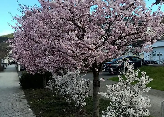 Lägenhet Altstadt Bl *