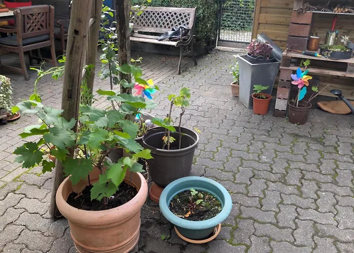 Altstadt Bl * Bad Laasphe